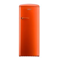 Gorenje RB 60299 OO
